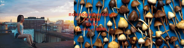 шишки Балабаново