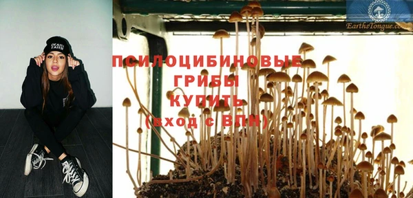шишки Балабаново