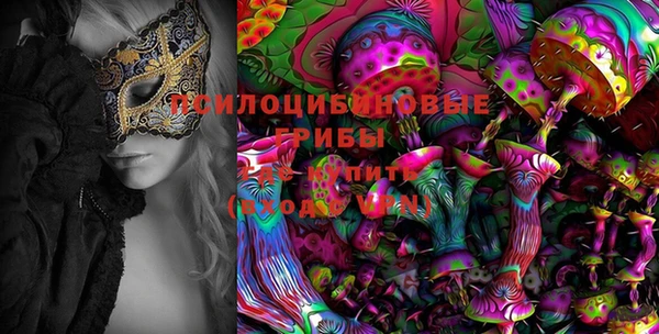 амф Балахна